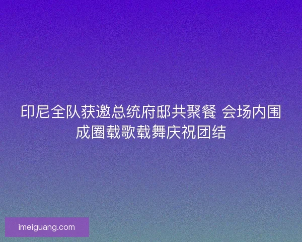 印尼全队获邀总统府邸共聚餐 会场内围成圈载歌载舞庆祝团结